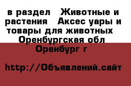  в раздел : Животные и растения » Аксесcуары и товары для животных . Оренбургская обл.,Оренбург г.
